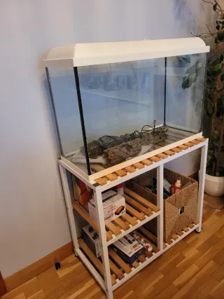 Acuario de 80L