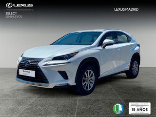 Lexus NX 2.5 300h Business Navigation 2WD