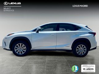 Lexus NX 2.5 300h Business Navigation 2WD