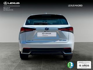 Lexus NX 2.5 300h Business Navigation 2WD