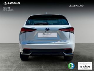Lexus NX 2.5 300h Business Navigation 2WD