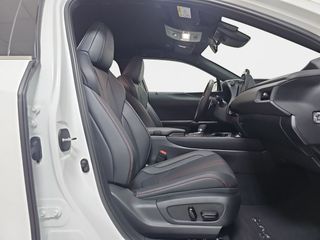 Lexus UX 2.0 300h F Sport Plus