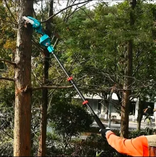 Kit 3in1 Cesoia Motosega Asta Telescopica 2 Batter