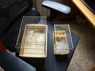 Gabbie per criceti e uccelli