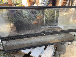 Terrario grande para reptiles