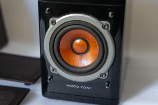 Coppia Casse Acustiche JVC SP-EXP1 "Wood Cone"