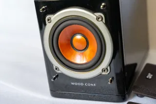 Coppia Casse Acustiche JVC SP-EXP1 "Wood Cone"