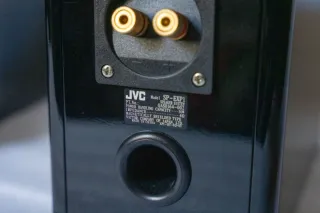 Coppia Casse Acustiche JVC SP-EXP1 "Wood Cone"