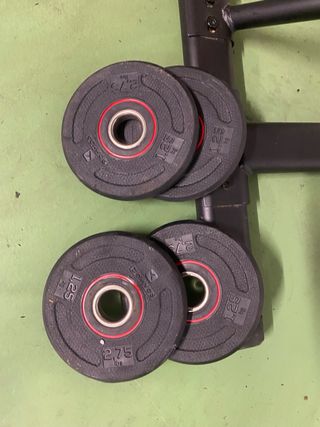 Rack Domyos 100 con barra y pesas