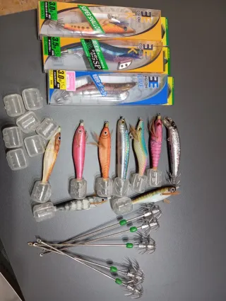 Jibioneras Cefalópodos