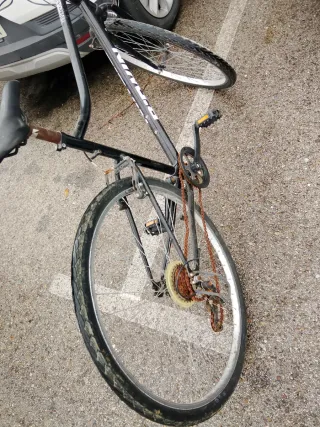 Bicicleta Riverside 100