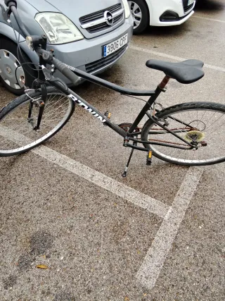 Bicicleta Riverside 100