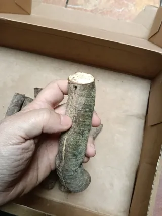 Medio kilo regaliz palo grueso paloduz palulu