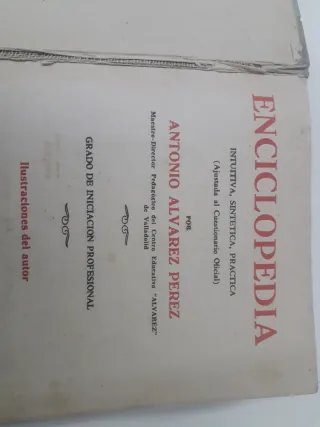 Enciclopedia Alvarez - Iniciación Profesional