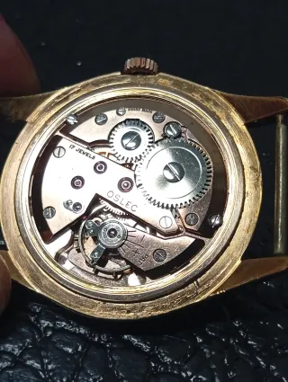 Oslec Watch Cronómetro 17 Rubis