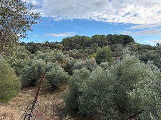 Chalet en venta en Plasencia