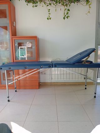 Camilla masajes, libro y láminas.