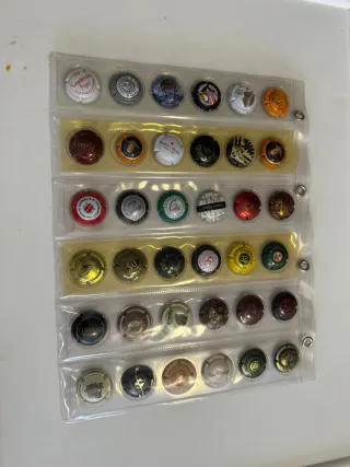 Chapas de Cava Colección. Precio a negociar