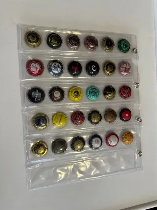 Chapas de Cava Colección. Precio a negociar