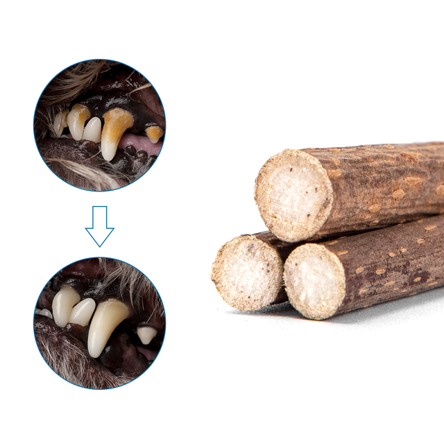 Palitos Matatabi para Gatos Nobleza