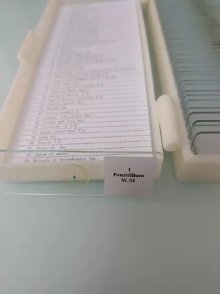 Microscopio National Geographic 40X-640X