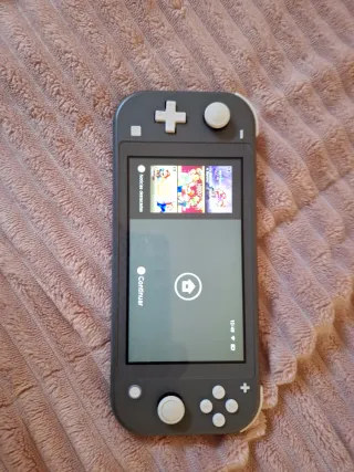Nintendo Switch Lite Gris