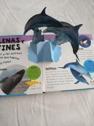 Océanos animados 1 curiosidad por día