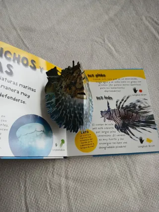 Océanos animados 1 curiosidad por día