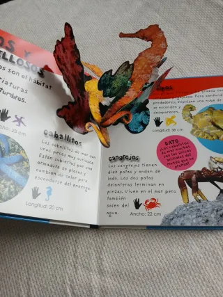 Océanos animados 1 curiosidad por día