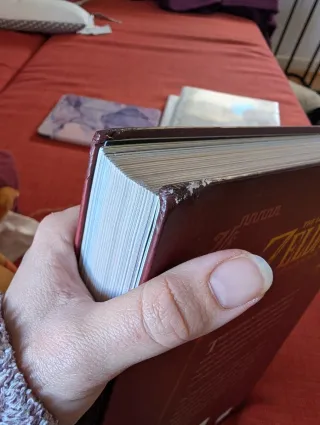 The Legend of Zelda: Art & Artifacts