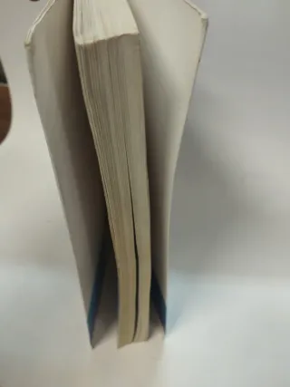 Maniobras y procedimientos de vuelo instrumental