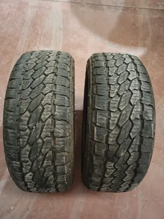 Neumáticos Bridgestone 4x4