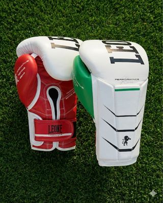 Guantes Boxeo Leone Revo Performance 16oz