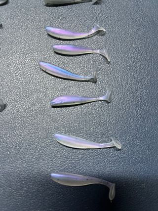 Esche artificiali pesca