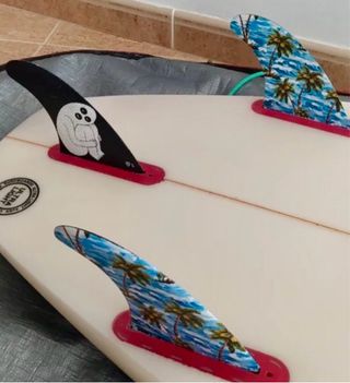 Quillas Gorilla Sloth Palm Carbono Future