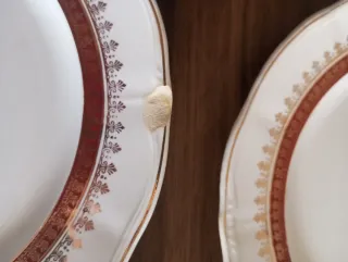 Lote  Platos San Claudio Porcelana Dorada