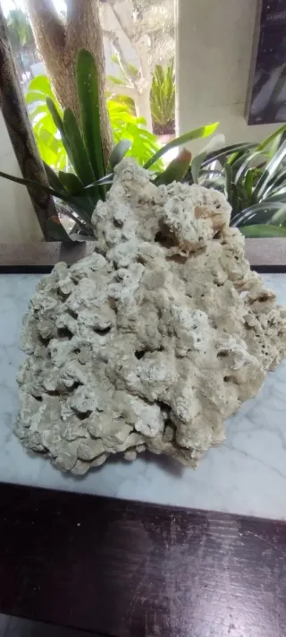 Roca Coralina para Acuario