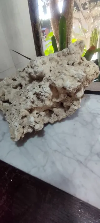 Roca Coralina para Acuario