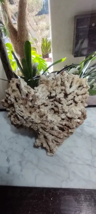 Roca Coralina para Acuario