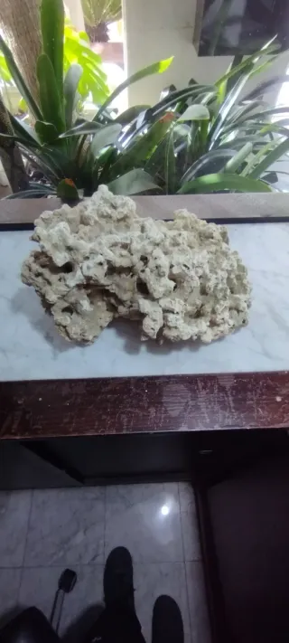 Roca Coralina para Acuario