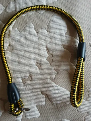 Correa gruesa para perro