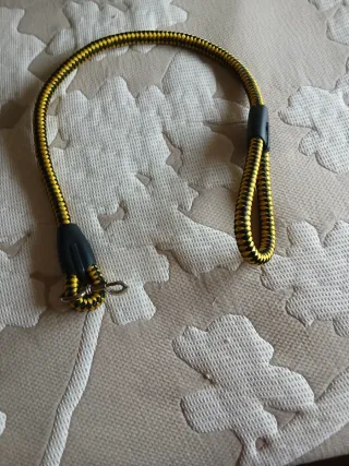 Correa gruesa para perro