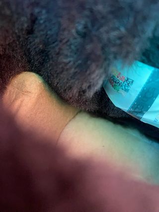 UGG Classic Mini II Stivali Marrone