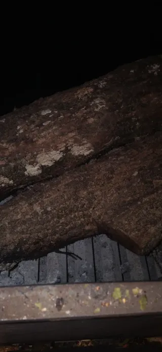 Leña a 0.20 el kilo