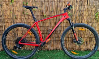 29"Mountain bike full carbon