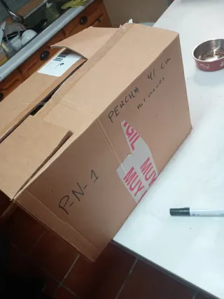 Perchas de plástico negro 41 cm 52 unds.