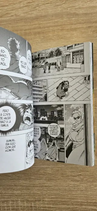 My Hero Academia nº 29