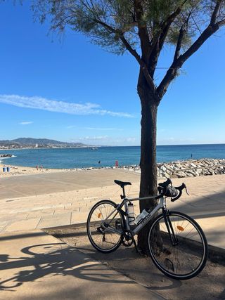 Bicicleta Carretera Triban Gris