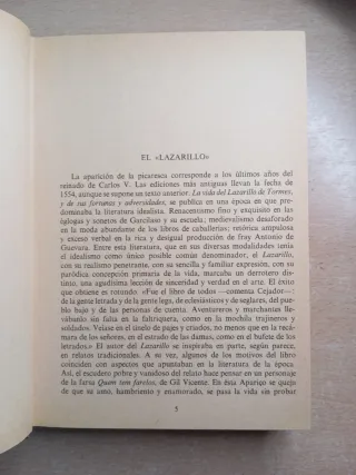 Los lazarillos en la literatura.