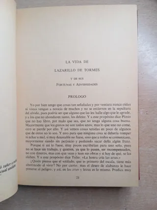 Los lazarillos en la literatura.